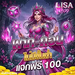 LISA 899 wallet